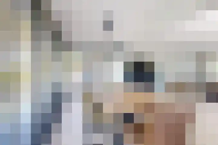 Kraaiendijk 7 Heijningen thumbnail 24