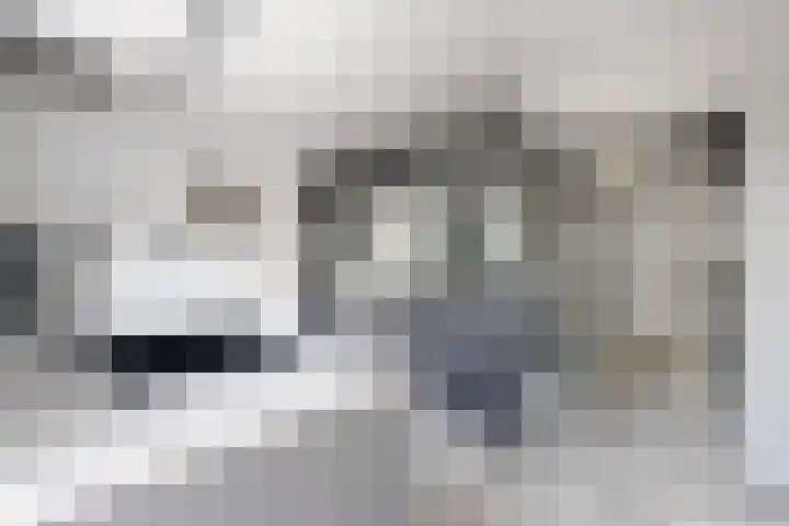 Kraaiendijk 7 Heijningen thumbnail 29
