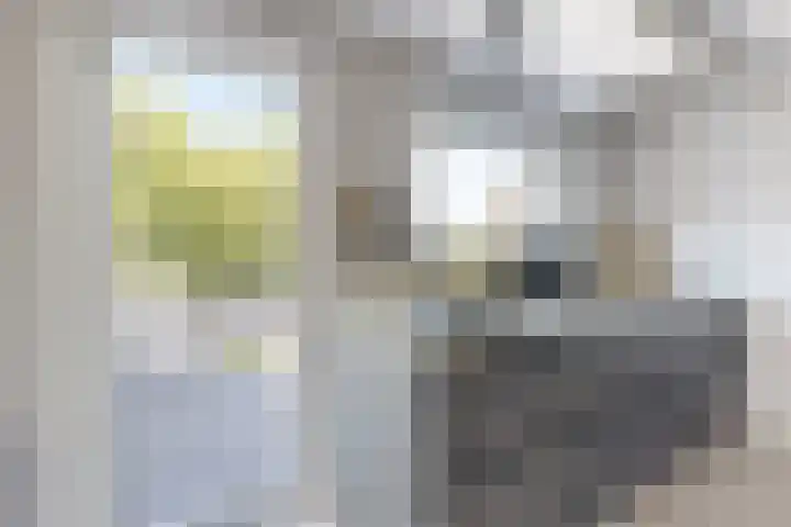 Kraaiendijk 7 Heijningen thumbnail 31