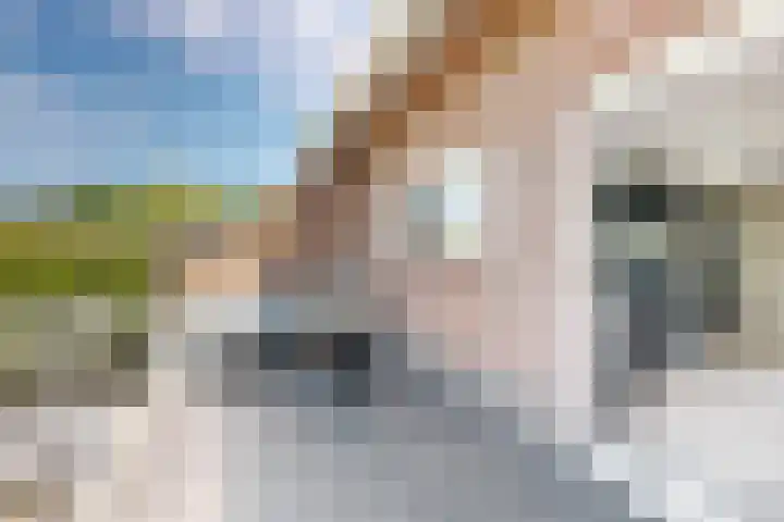 Kraaiendijk 7 Heijningen thumbnail 32