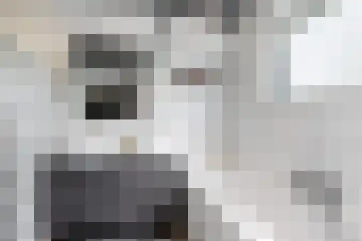 Kraaiendijk 7 Heijningen thumbnail 37