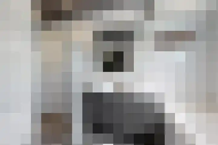 Kraaiendijk 7 Heijningen thumbnail 38