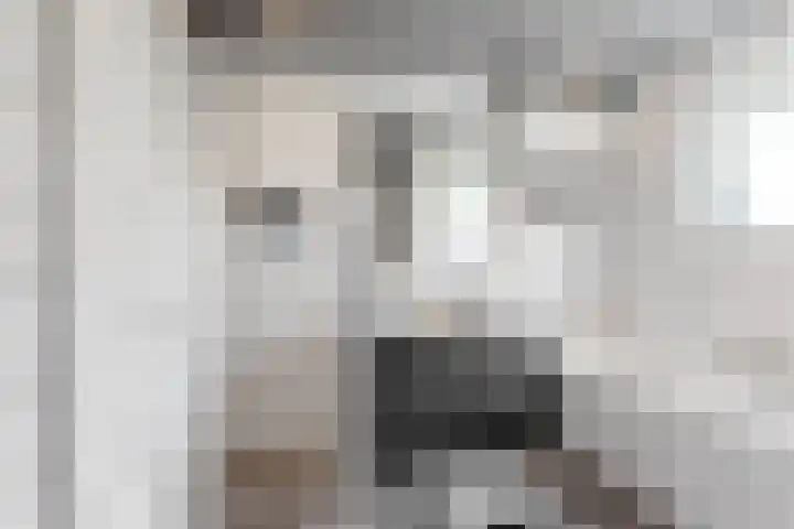 Kraaiendijk 7 Heijningen thumbnail 4