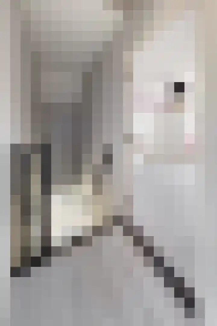 Kraaiendijk 7 Heijningen thumbnail 40