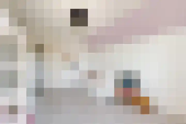 Kraaiendijk 7 Heijningen thumbnail 41