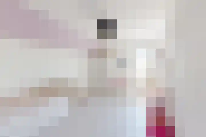 Kraaiendijk 7 Heijningen thumbnail 42