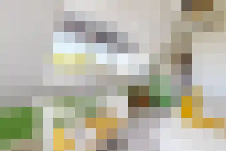 Kraaiendijk 7 Heijningen thumbnail 44