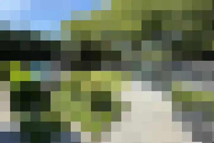 Kraaiendijk 7 Heijningen thumbnail 5