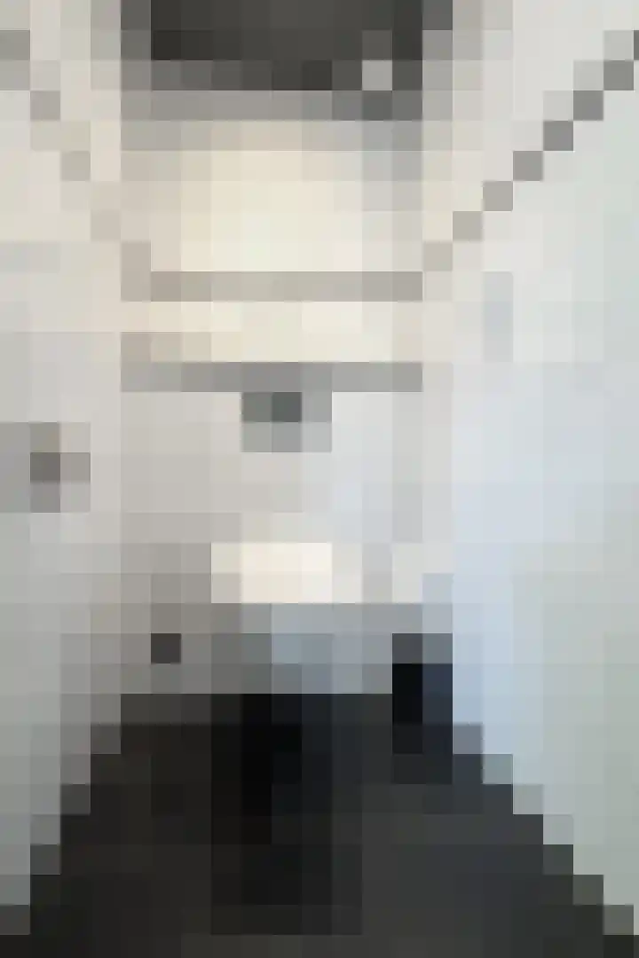 Kraaiendijk 7 Heijningen thumbnail 52
