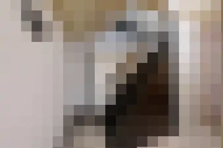 Kraaiendijk 7 Heijningen thumbnail 53