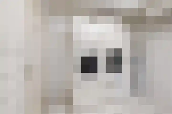 Kraaiendijk 7 Heijningen thumbnail 55