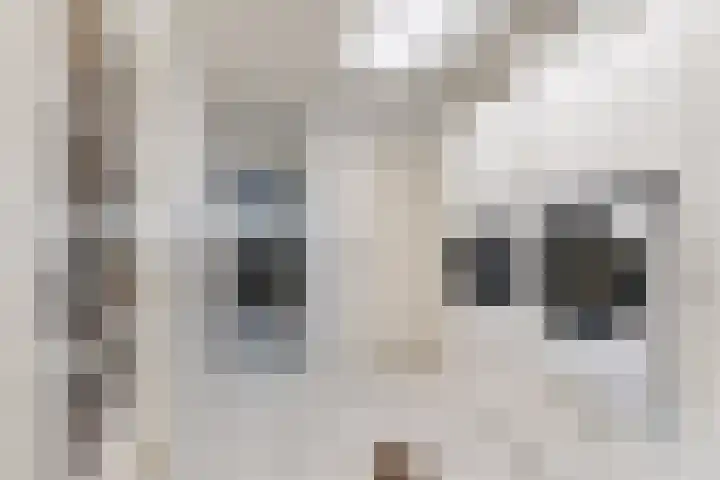 Kraaiendijk 7 Heijningen thumbnail 56
