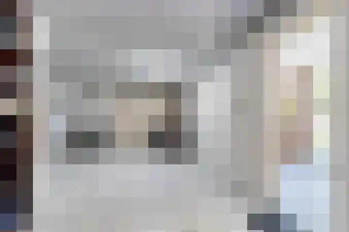 Kraaiendijk 7 Heijningen thumbnail 60