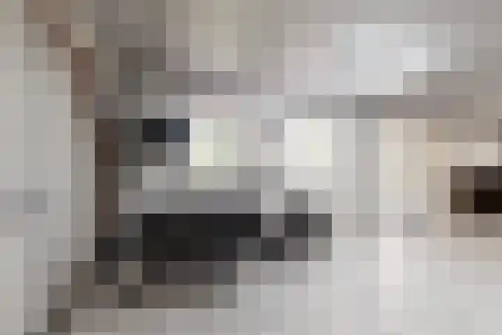 Kraaiendijk 7 Heijningen thumbnail 62