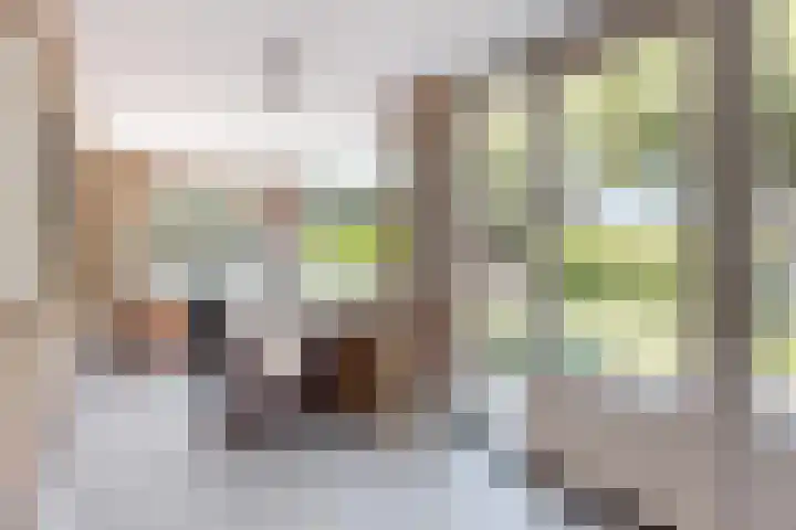 Kraaiendijk 7 Heijningen thumbnail 63
