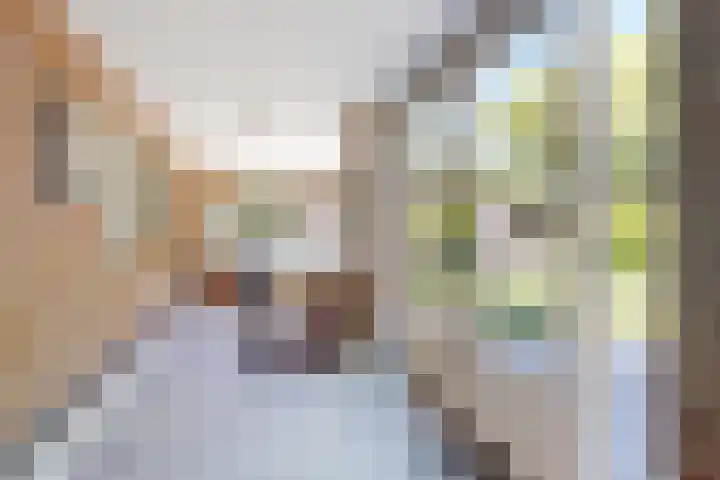 Kraaiendijk 7 Heijningen thumbnail 66