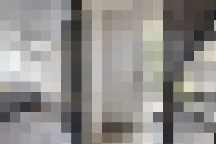Kraaiendijk 7 Heijningen thumbnail 7
