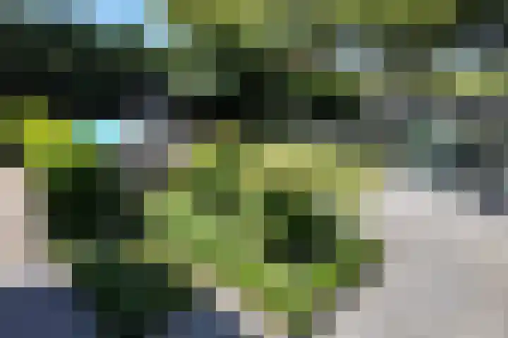 Kraaiendijk 7 Heijningen thumbnail 70