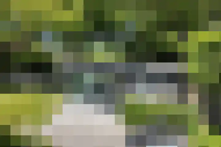 Kraaiendijk 7 Heijningen thumbnail 74