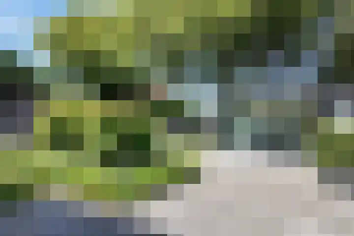 Kraaiendijk 7 Heijningen thumbnail 75