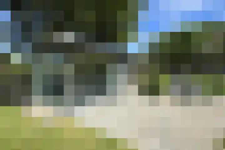Kraaiendijk 7 Heijningen thumbnail 76