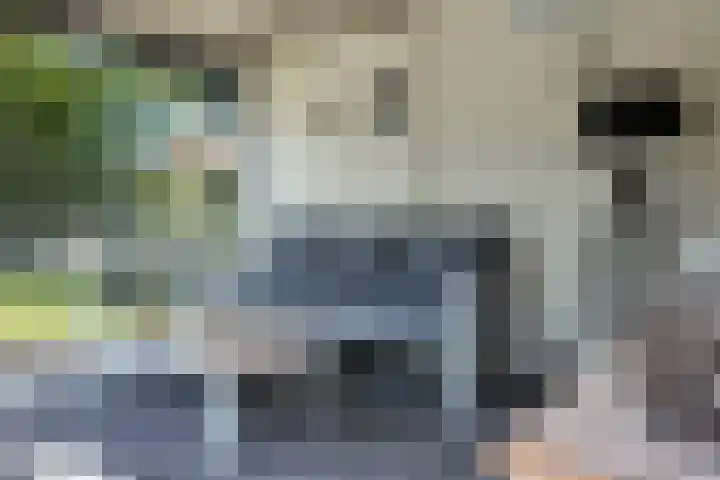 Kraaiendijk 7 Heijningen thumbnail 78
