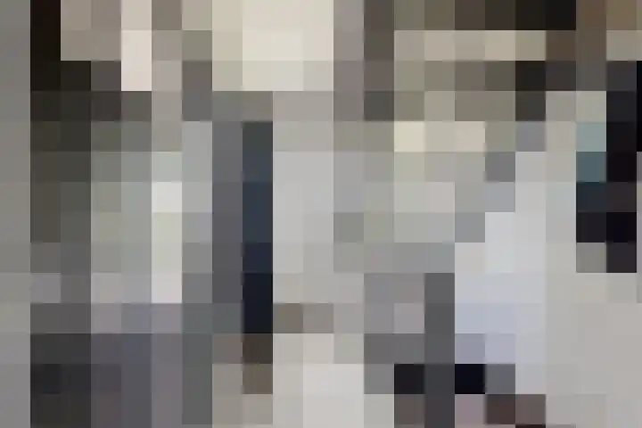 Kraaiendijk 7 Heijningen thumbnail 8