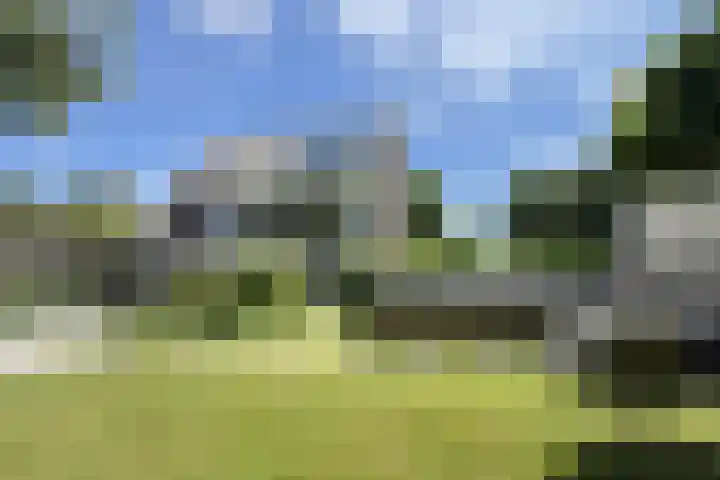 Kraaiendijk 7 Heijningen thumbnail 80