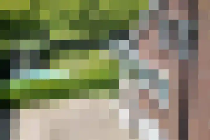 Kraaiendijk 7 Heijningen thumbnail 81