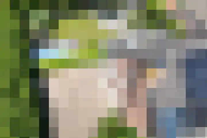 Kraaiendijk 7 Heijningen thumbnail 82