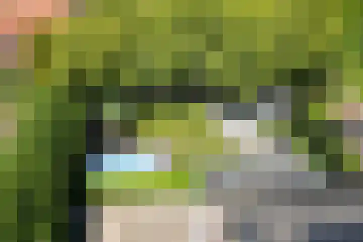 Kraaiendijk 7 Heijningen thumbnail 83