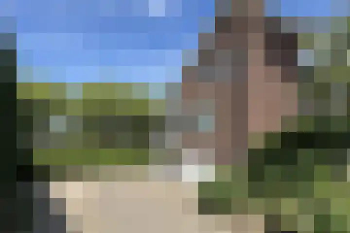 Kraaiendijk 7 Heijningen thumbnail 86