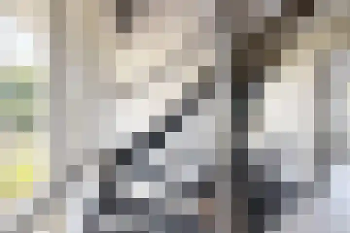 Kraaiendijk 7 Heijningen thumbnail 9
