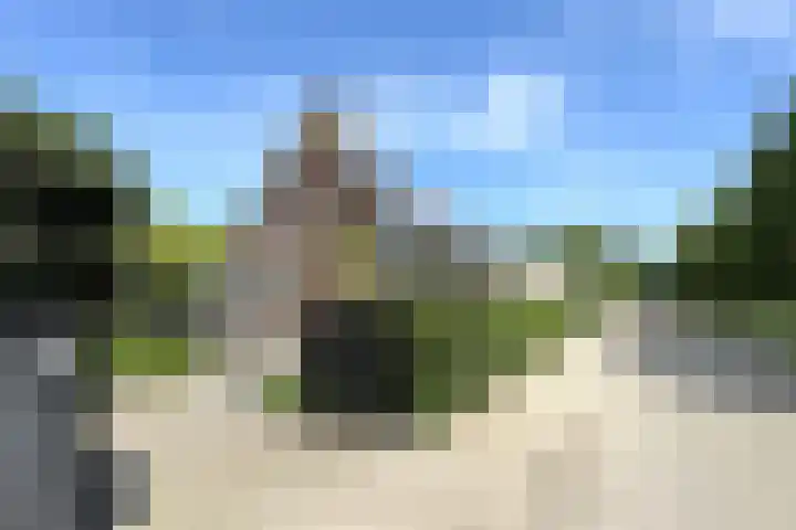 Kraaiendijk 7 Heijningen thumbnail 90