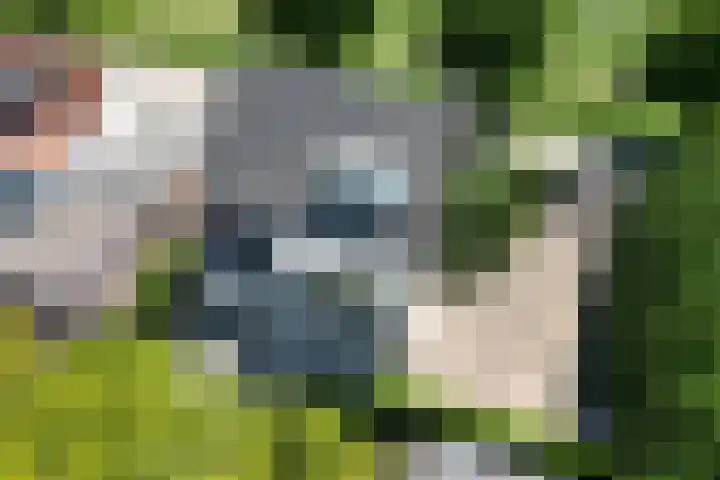 Kraaiendijk 7 Heijningen thumbnail 94