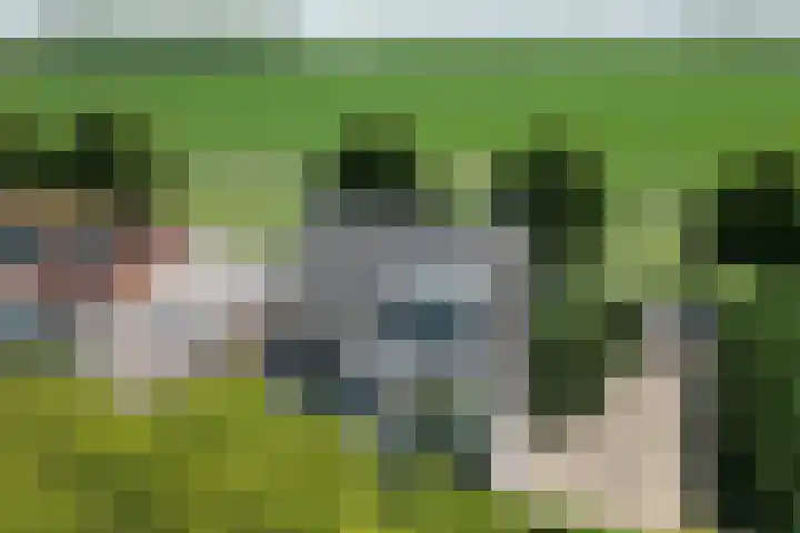 Kraaiendijk 7 Heijningen thumbnail 95