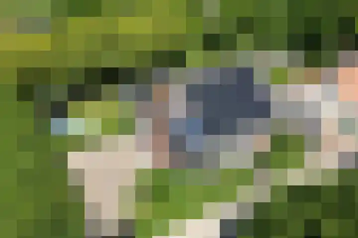 Kraaiendijk 7 Heijningen thumbnail 96
