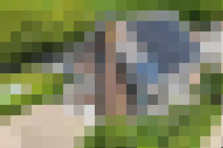 Kraaiendijk 7 Heijningen thumbnail 97
