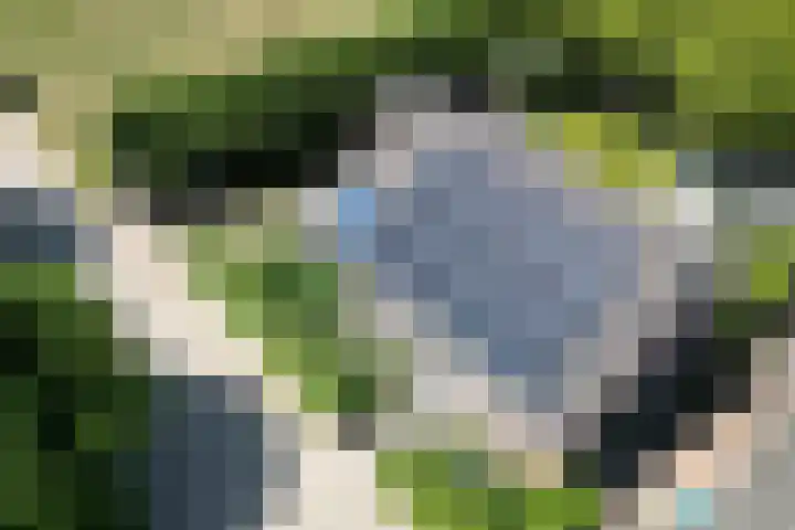 Kraaiendijk 7 Heijningen thumbnail 98