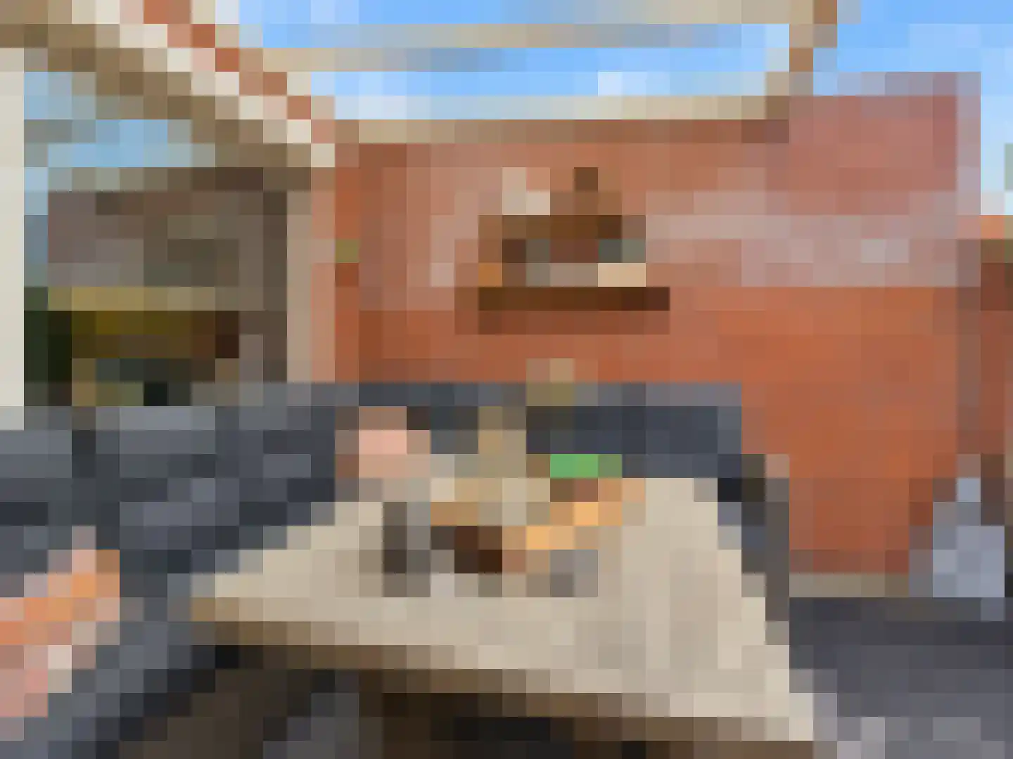 Kraaiendonk 19 St. Willebrord thumbnail 20