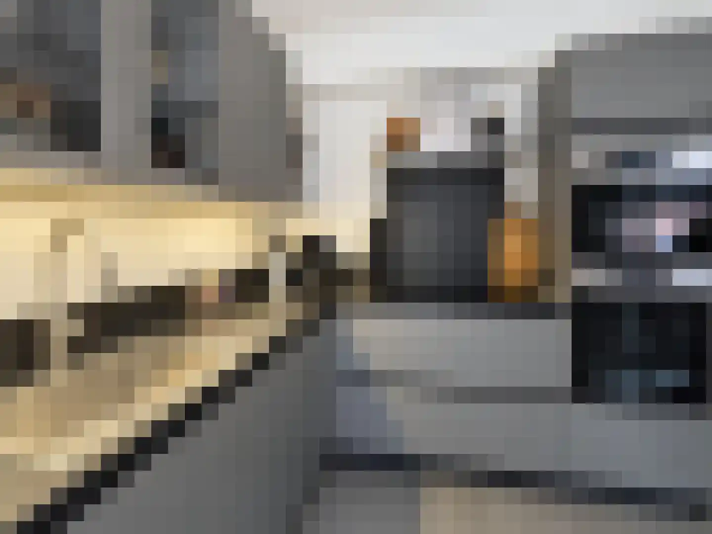 Kraaiendonk 19 St. Willebrord thumbnail 4
