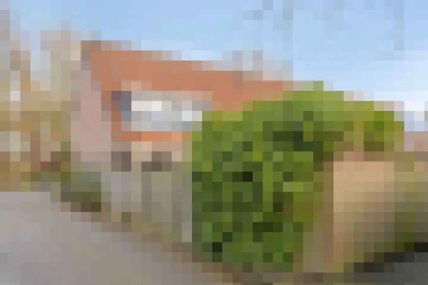 Kraaienest 51 Hellevoetsluis thumbnail 20
