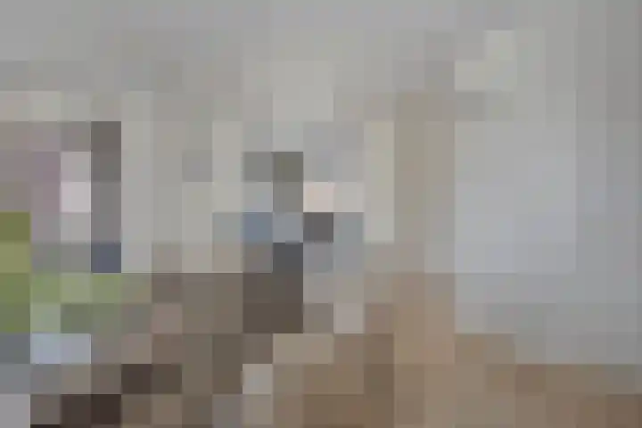 Kraaienest 9 Oss thumbnail 10