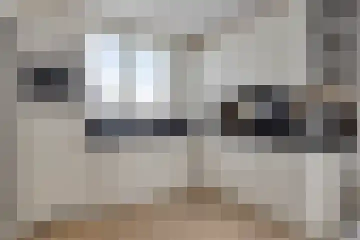 Kraaienest 9 Oss thumbnail 12