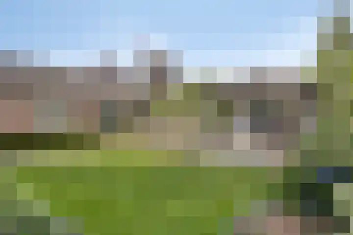 Kraaienest 9 Oss foto 2