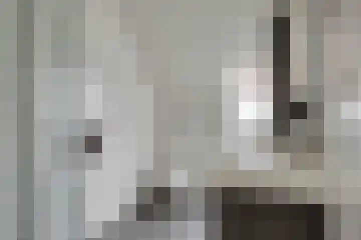 Kraaienest 9 Oss thumbnail 24