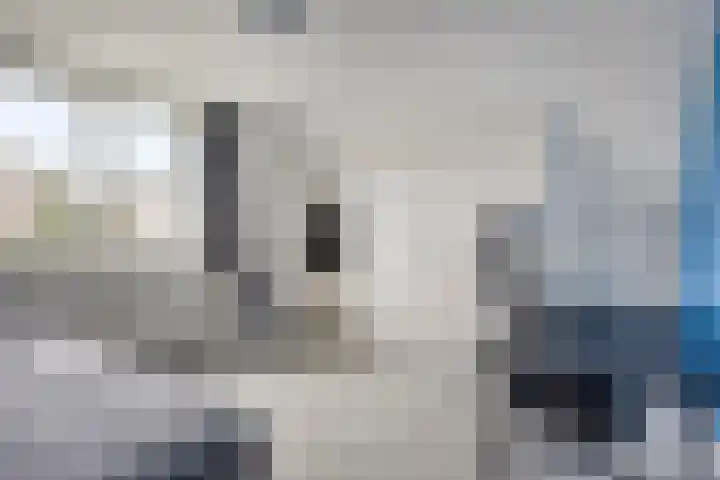 Kraaienest 9 Oss thumbnail 26