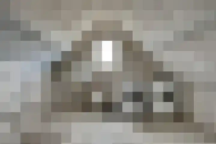 Kraaienest 9 Oss thumbnail 34