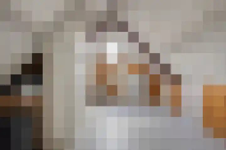 Kraaienest 9 Oss thumbnail 36