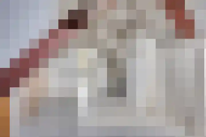 Kraaienest 9 Oss thumbnail 37